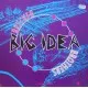 Big Idea